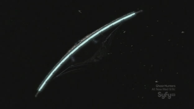 Momentky SGU